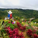 Cebu Top Destination 2026